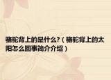 駱駝背上的是什么?（駱駝背上的太陽怎么回事簡介介紹）