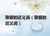 敬愛(ài)的近義詞（敬愛(ài)的近義詞）