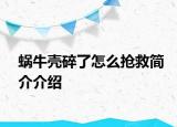 蝸牛殼碎了怎么搶救簡介介紹