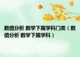 數(shù)值分析 數(shù)學(xué)下屬學(xué)科門類（數(shù)值分析 數(shù)學(xué)下屬學(xué)科）