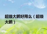 超級大鵬好用么（超級大鵬）