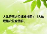 人體經(jīng)絡穴位標準掛圖（《人體經(jīng)絡穴位全圖解）