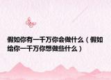 假如你有一千萬你會做什么（假如給你一千萬你想做些什么）