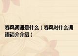 春風(fēng)詞語是什么（春風(fēng)對什么詞語簡介介紹）