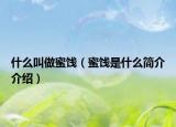 什么叫做蜜餞（蜜餞是什么簡介介紹）