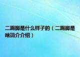 二踢腳是什么樣子的（二踢腳是啥簡(jiǎn)介介紹）