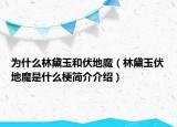 為什么林黛玉和伏地魔（林黛玉伏地魔是什么梗簡介介紹）
