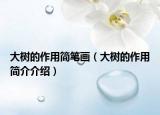 大樹的作用簡筆畫（大樹的作用簡介介紹）
