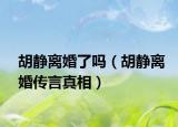 胡靜離婚了嗎（胡靜離婚傳言真相）