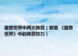 魔獸世界中兩大陣營（聯(lián)盟 《魔獸世界》中的陣營勢(shì)力）