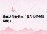 魯東大學(xué)專升本（魯東大學(xué)專科學(xué)院）