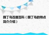 園丁鳥百度百科（園丁鳥的特點簡介介紹）