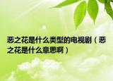 惡之花是什么類型的電視?。◥褐ㄊ鞘裁匆馑及。? /></span></a>
                        <h2><a href=