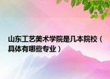 山東工藝美術(shù)學(xué)院是幾本院校（具體有哪些專業(yè)）