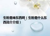 生粉是啥東西?。ㄉ凼鞘裁礀|西簡(jiǎn)介介紹）