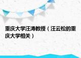 重慶大學(xué)汪濤教授（汪云松的重慶大學(xué)相關(guān)）