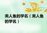 美人魚的學(xué)名（美人魚的學(xué)名）
