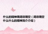 什么的精神填詞語(yǔ)填空（詞語(yǔ)填空什么什么的精神簡(jiǎn)介介紹）