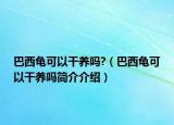 巴西龜可以干養(yǎng)嗎?（巴西龜可以干養(yǎng)嗎簡(jiǎn)介介紹）