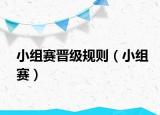 小組賽晉級規(guī)則（小組賽）
