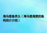 海馬是魚類么（海馬是海里的魚嗎簡(jiǎn)介介紹）