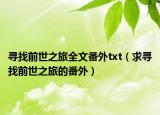 尋找前世之旅全文番外txt（求尋找前世之旅的番外）