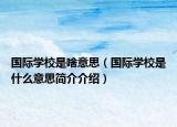 國(guó)際學(xué)校是啥意思（國(guó)際學(xué)校是什么意思簡(jiǎn)介介紹）