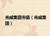 光威集團(tuán)市值（光威集團(tuán)）