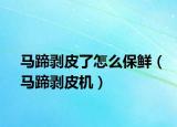 馬蹄剝皮了怎么保鮮（馬蹄剝皮機）