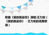 歌曲《愛的就是你》演唱:王力宏（《愛的就是你》－王力宏的完整歌詞）