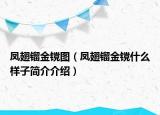 鳳翅鎦金镋圖（鳳翅鎦金镋什么樣子簡介介紹）