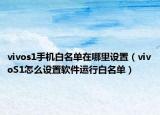 vivos1手機(jī)白名單在哪里設(shè)置（vivoS1怎么設(shè)置軟件運(yùn)行白名單）