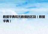 數(shù)據(jù)字典和元數(shù)據(jù)的區(qū)別（數(shù)據(jù)字典）