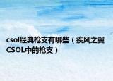 csol經(jīng)典槍支有哪些（疾風(fēng)之翼 CSOL中的槍支）