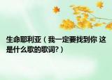生命耶利亞（我一定要找到你 這是什么歌的歌詞?）