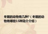 冬眠的動(dòng)物有幾種?（冬眠的動(dòng)物有哪些15種簡(jiǎn)介介紹）