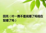 田亮（葉一茜不是離婚了嗎現(xiàn)在復(fù)婚了嗎）