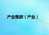 產業(yè)集群（產業(yè)）