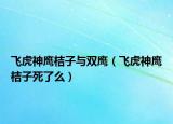 飛虎神鷹桔子與雙鷹（飛虎神鷹桔子死了么）