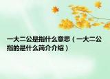 一大二公是指什么意思（一大二公指的是什么簡介介紹）