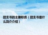團(tuán)支書的主要職務(wù)（團(tuán)支書是什么簡介介紹）
