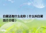 白薯還有什么名稱（什么叫白薯簡介介紹）