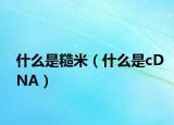 什么是糙米（什么是cDNA）