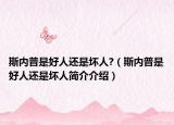 斯內(nèi)普是好人還是壞人?（斯內(nèi)普是好人還是壞人簡介介紹）