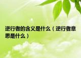 逆行者的含義是什么（逆行者意思是什么）