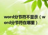 word分節(jié)符不顯示（word分節(jié)符在哪里）