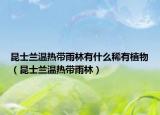 昆士蘭溫?zé)釒в炅钟惺裁聪∮兄参铮ɡナ刻m溫?zé)釒в炅郑? /></span></a>
                        <h2><a href=
