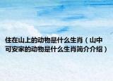 住在山上的動(dòng)物是什么生肖（山中可安家的動(dòng)物是什么生肖簡(jiǎn)介介紹）