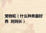 寵物蛇（什么種類最好養(yǎng)  時(shí)間長）
