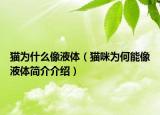貓為什么像液體（貓咪為何能像液體簡介介紹）